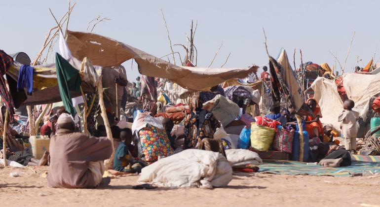 Hunger and Bombs Plague Sudan’s El Fasher
