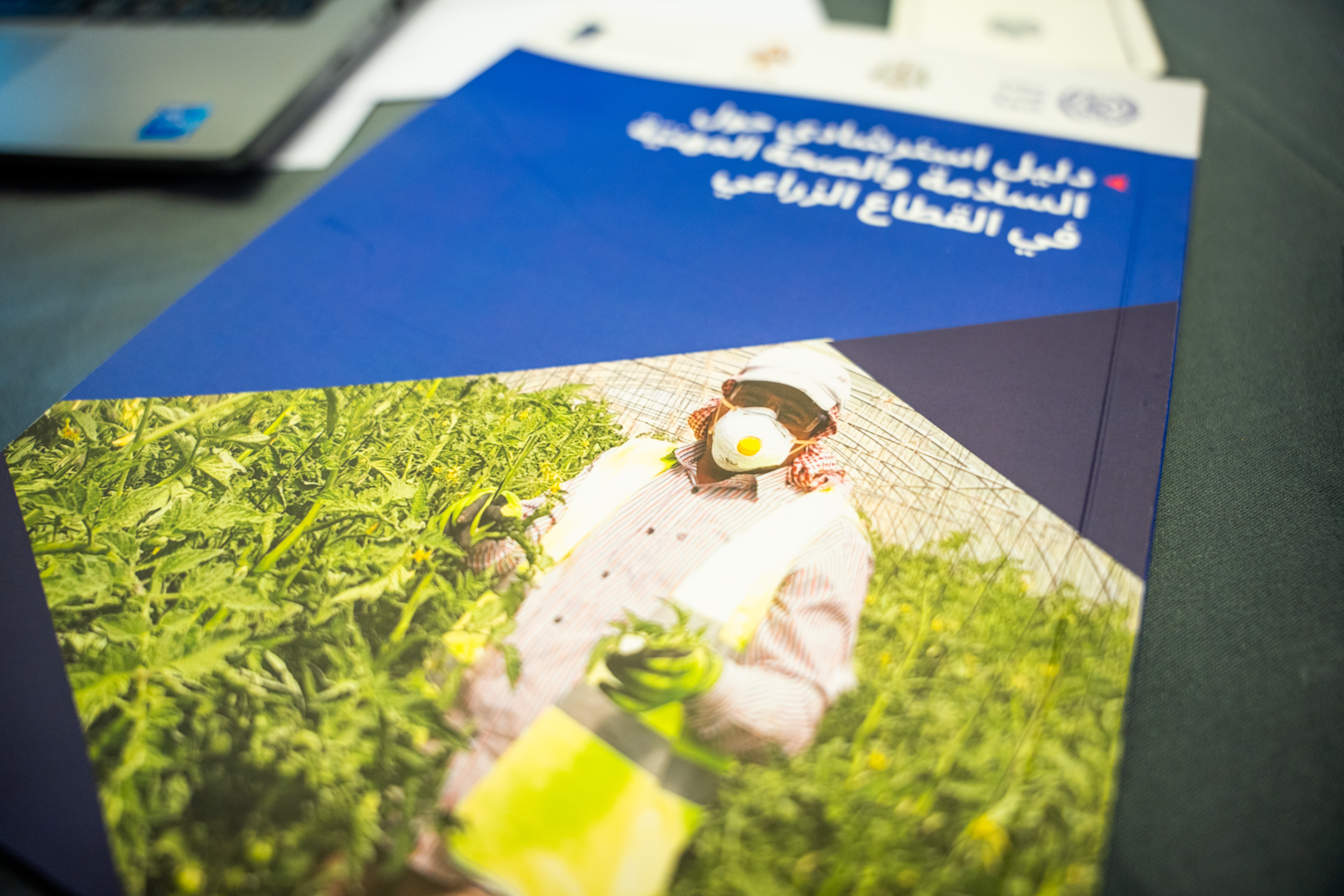 ILO Launches OSH In Agriculture Guide In Jordan
