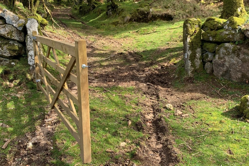 Integrated Management Shields Burrator Forest