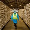 Japan Sends Food Aid to Zimbabwe