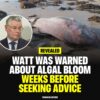 Albanese and Labor have ignored this unfolding natural disaster for too long....