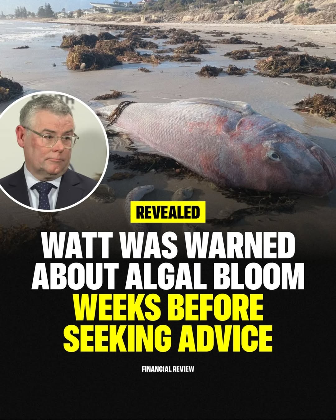 Liberal Party of Australia: Albanese and Labor have ignored this unfolding natural disaster for too long….