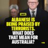 Albanese's very poor judgment has been on display this week....