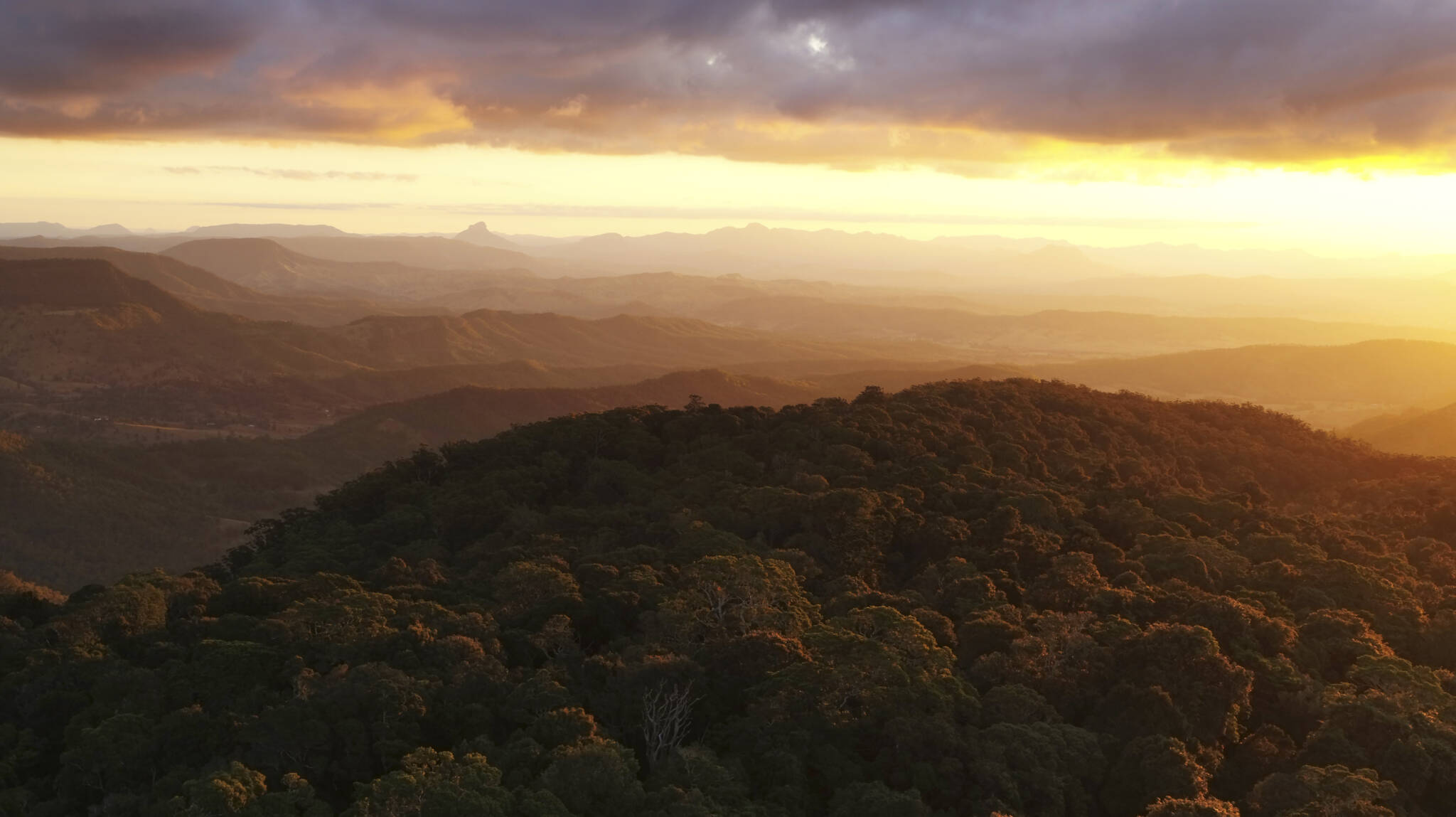 Netflix Kicks Off Filming Mosquito Bowl in Queensland
