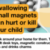 OPSS Unveils Small Hazards, Big Harm Campaign