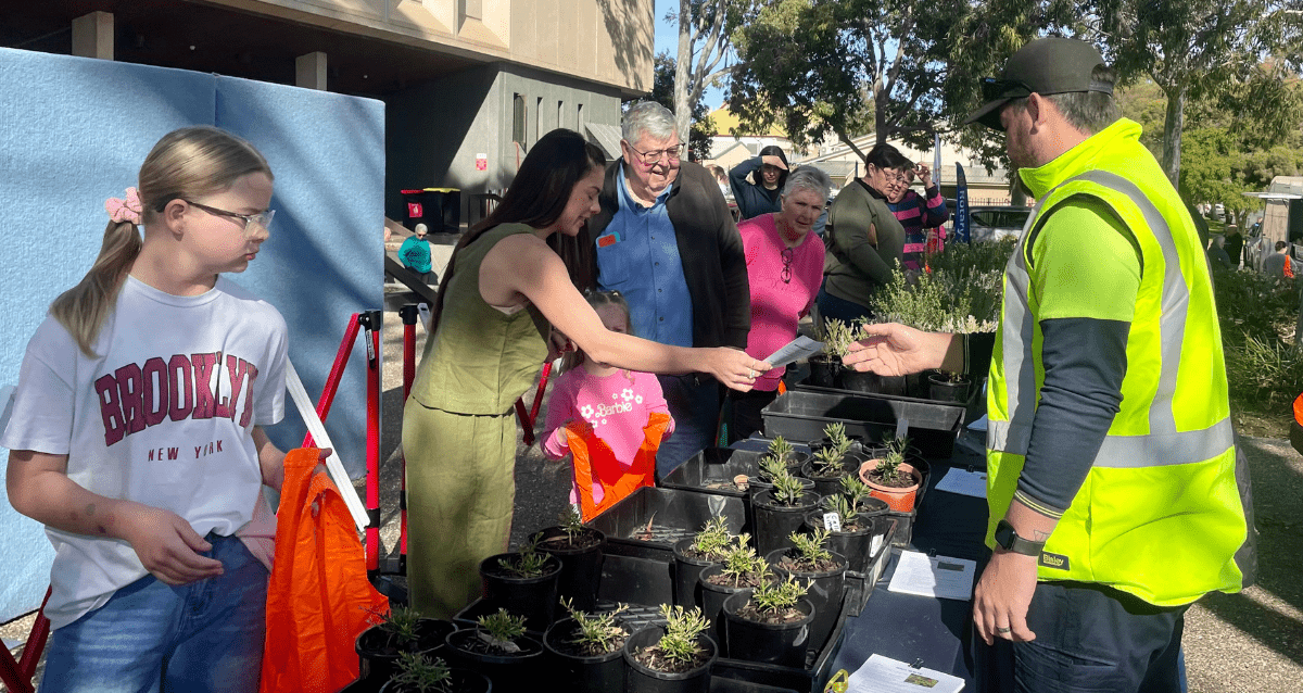 Plant Giveaway And Volunteer Expo Returns