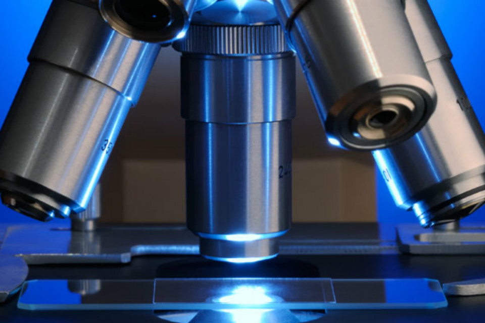 Report Details Tech, Research for Net Zero Target
