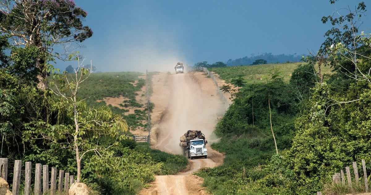 Safeguard Amazon Land Rights for Brazil’s Farmers