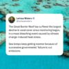 The Great Barrier Reef has suffered the largest decline in coral cover since mon...