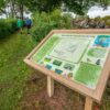 Townhead Woods Planting Boosts Business, Environment