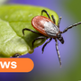 UKHSA Urges Public: Stay Tick Aware This Summer