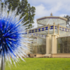 World-class Glass Shapes South Australian Success