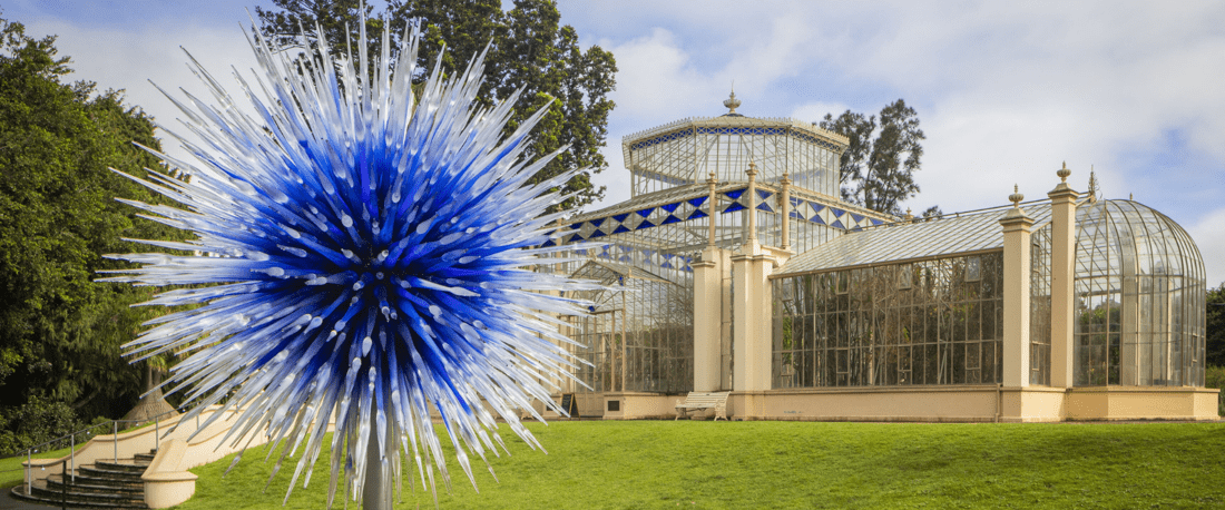 World-class Glass Shapes South Australian Success