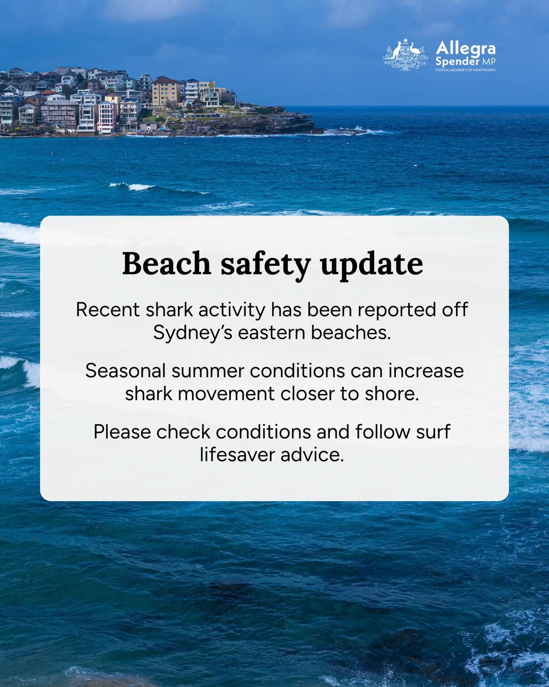 After four shark attacks in the last few days, I think everyone is aware of the...