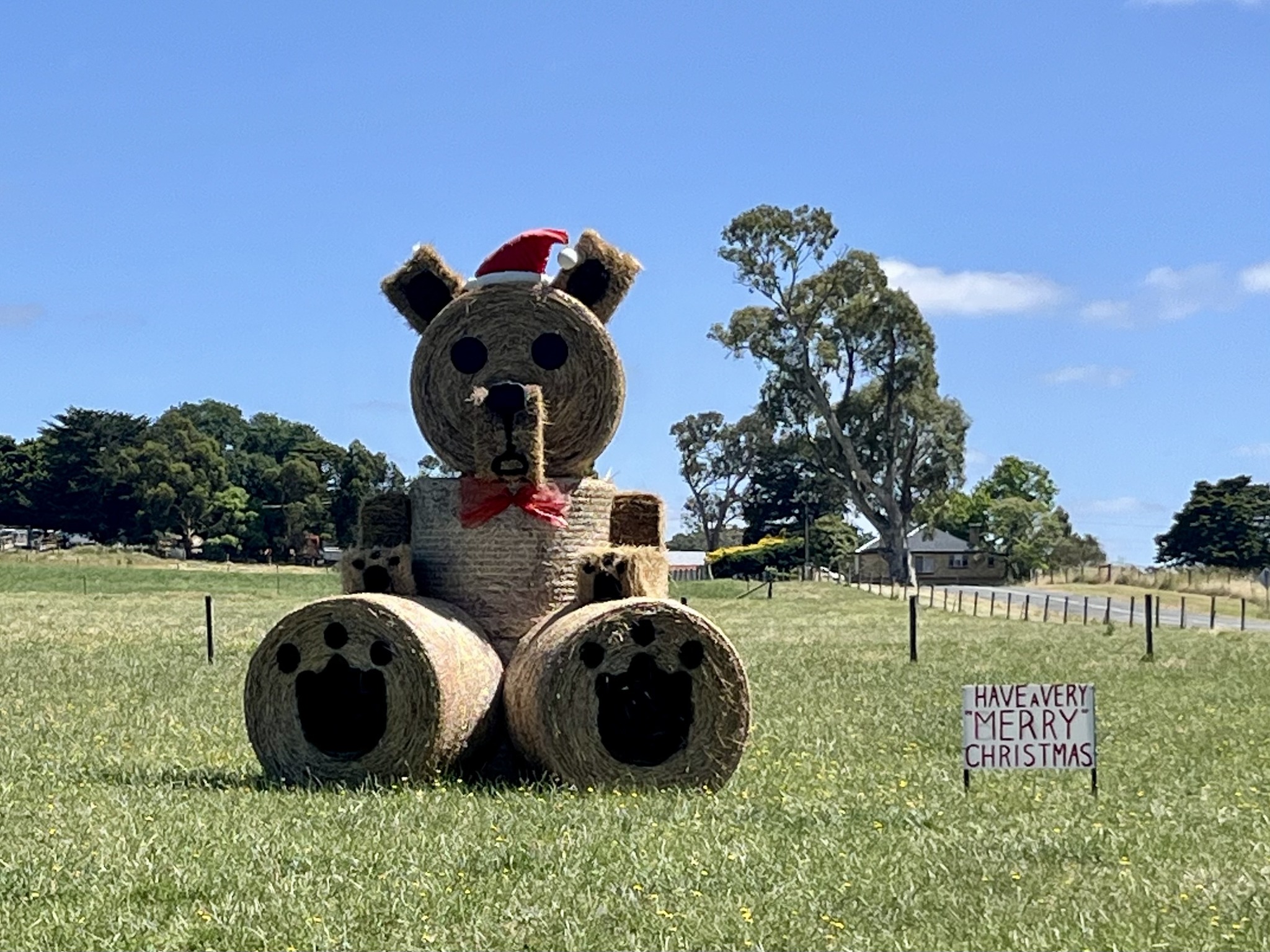 Merry Christmas to our wonderful Mayo community. I hope you are surrounded by friends,...