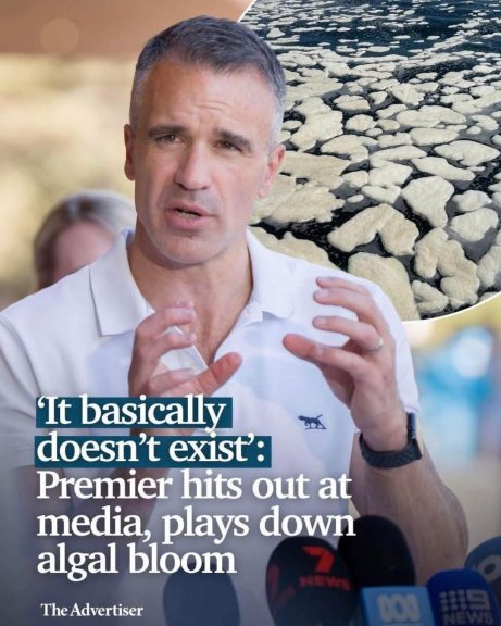 When the Premier says a toxic algal bloom 'basically doesn't exist', while communities,...