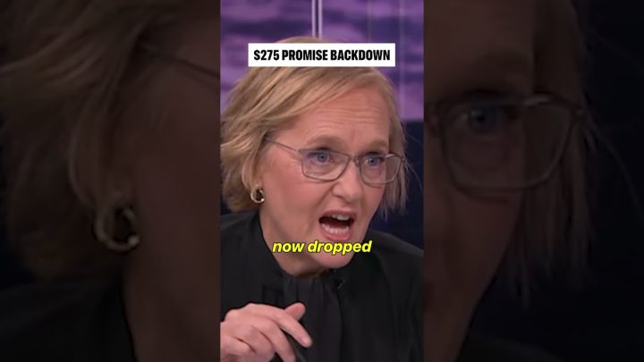 Chris Bowen is comprehensively hopeless.