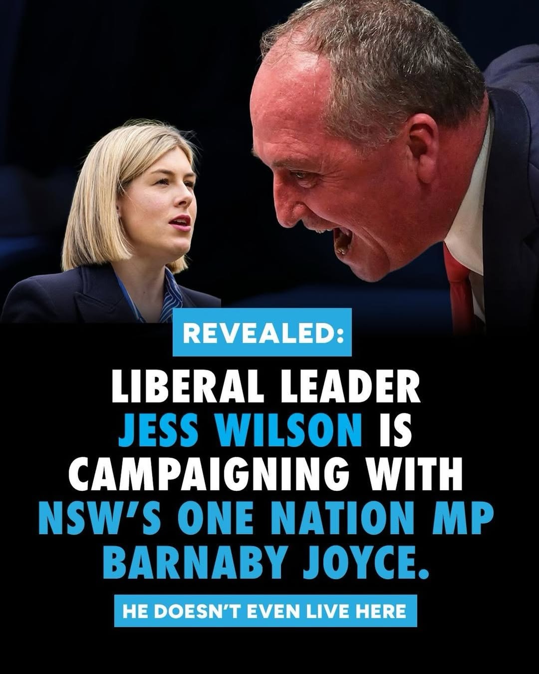 Jess Wilson is set to campaign alongside NSW One Nation MP Barnaby Joyce later this...
