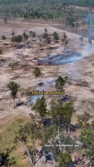 Labor approving 30+ projects for their mates in the fossil fuel isn’t normal....