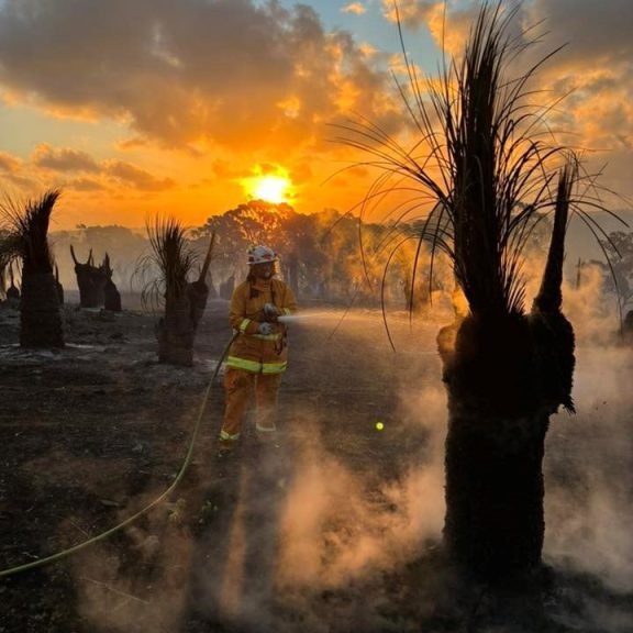 Sincere thanks to our CFS crews who are working tirelessly to fight the fire around the...