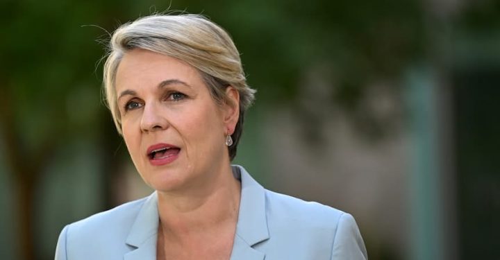 I speak often about the crisis in men's violence against women & children in Australia...