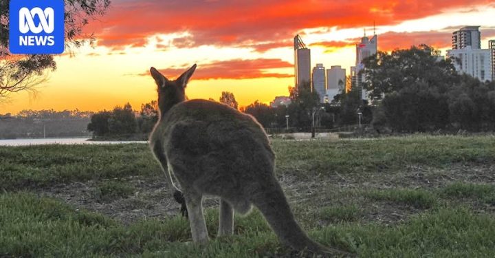 Researchers have identified $26.3BN a year in spending that harms biodiversity....