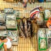FAO Report Exposes Global Fish Fraud, Solutions Offered