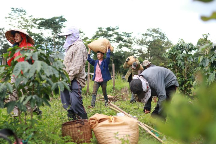 ILO Backs Lao PDR Social Security Expansion Efforts