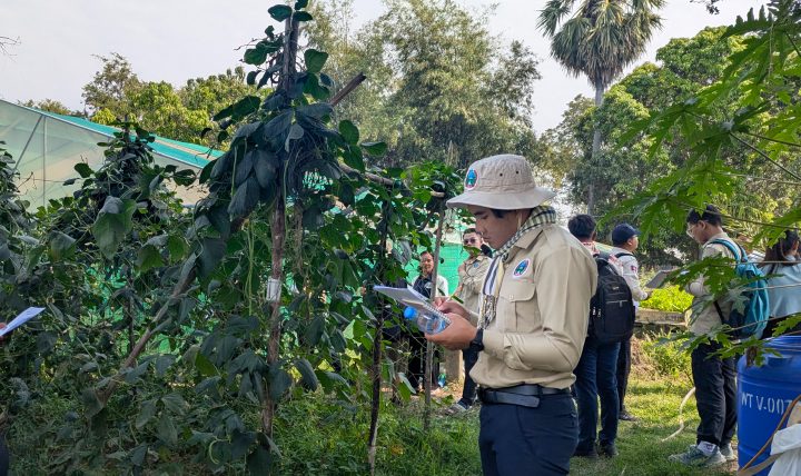 ILO Boosts Safe, Sustainable Farming in Cambodia