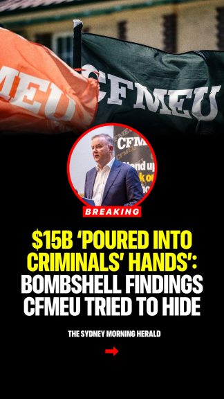 These shocking allegations demand immediate answers from the Albanese Government....