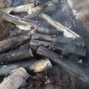 NIH Launches East Palestine Train Disaster Study Office