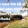 NSW Govt Blamed for New Menindee Lakes Fish Kill