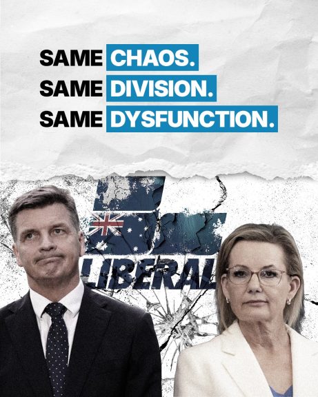 The Liberals are in chaos yet again....