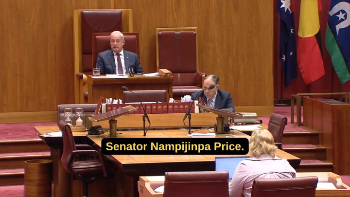 Domestic violence should never be normalised or excused.nnIn the Senate, I spoke from...