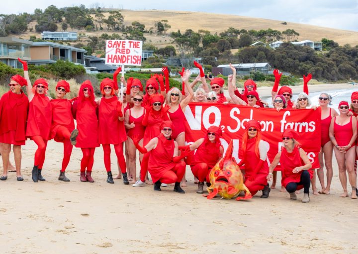 Over 700 dedicated and passionate locals banded together in the sun, rain and hail at...