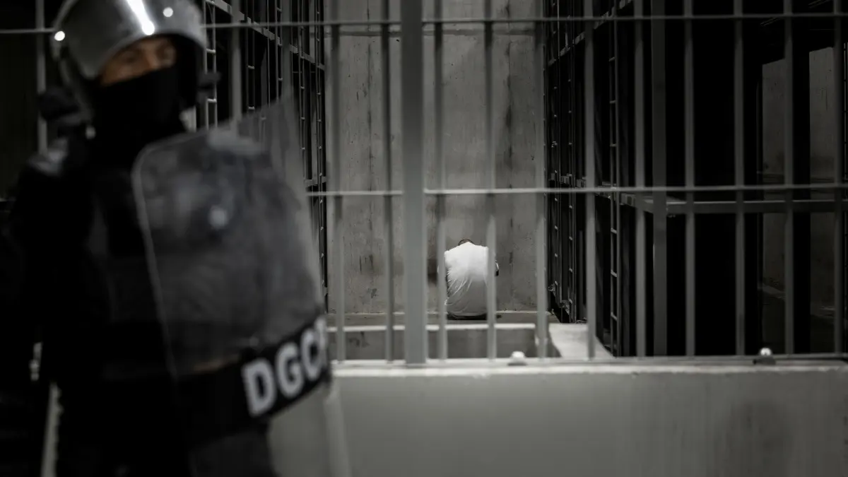 Trump's Influence Spurs Americas Abuses