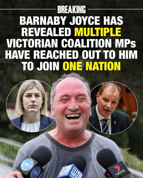 Barnaby Joyce revealed to the Herald Sun that he had been in talks with “numerous”...