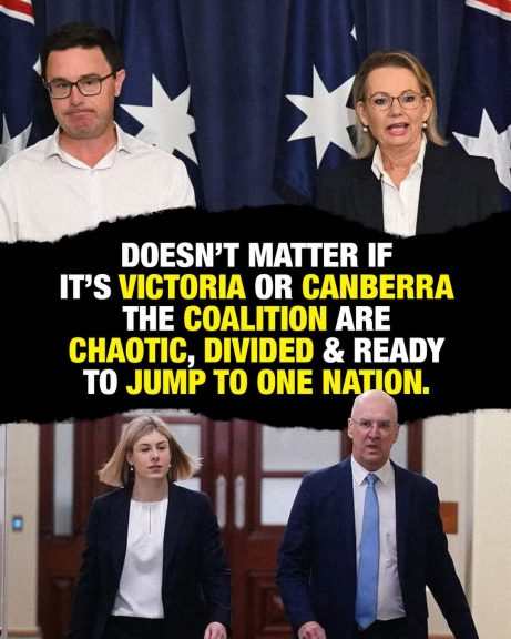 Different sections of the party - same root problem. The coalition are a shambles in...