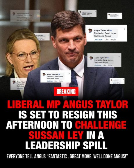 Fantastic. Great Move. Well done Angus....