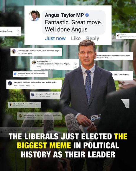 The Liberals are a shambles....