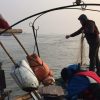Yangtze Fishing Ban Reverses 70-Year Biodiversity Decline